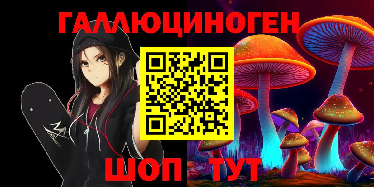 Псилоцибиновые грибы Cubensis Курчалой