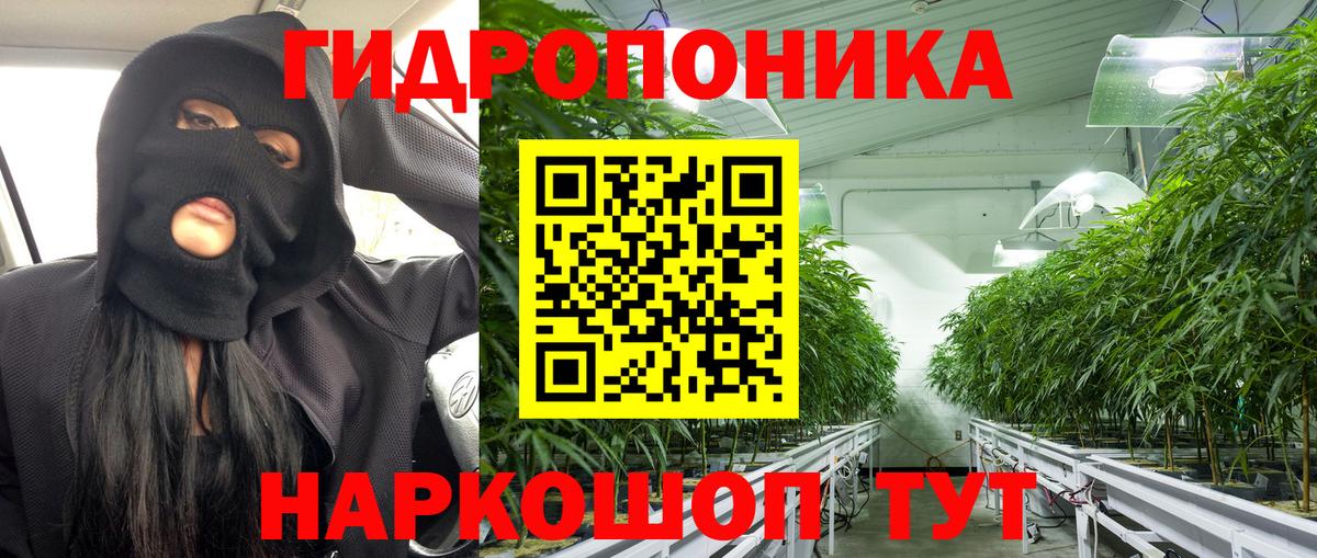 Бошки марихуана тримм Курчалой